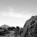 Petrified forest